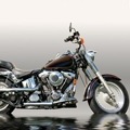 motorcycles