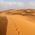 desert
