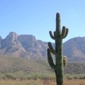 southwest