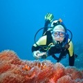 scuba